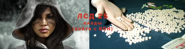 эйфоретик Дмитриев