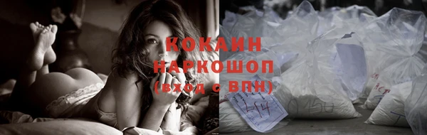 крисы Дмитров