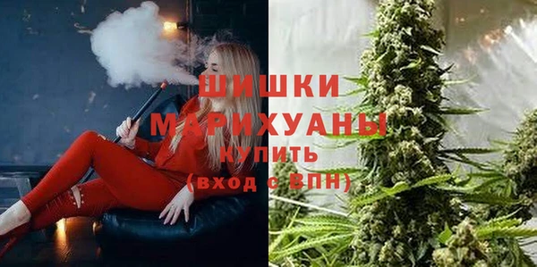 крисы Дмитров