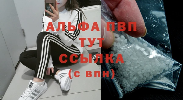 крисы Дмитров