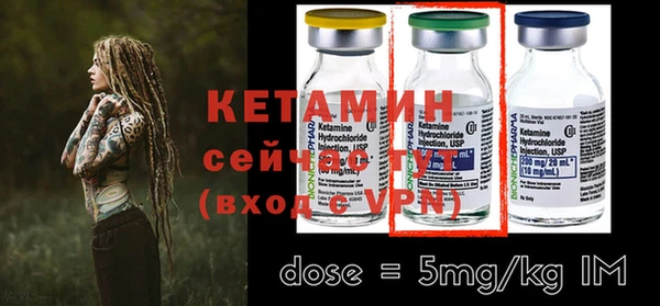 крисы Дмитров