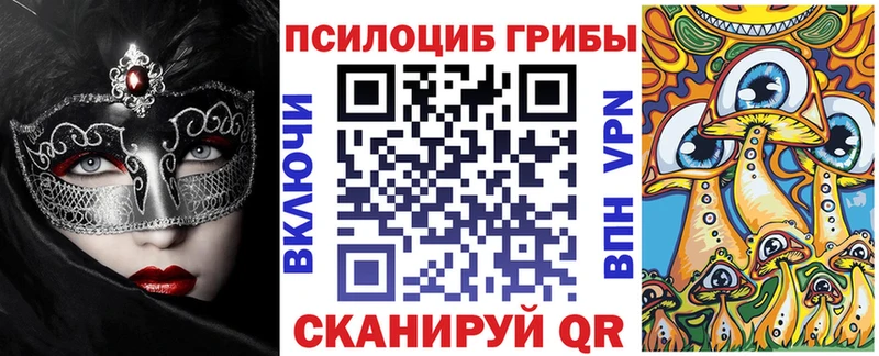 купить наркоту  Балаково  Псилоцибиновые грибы Cubensis 