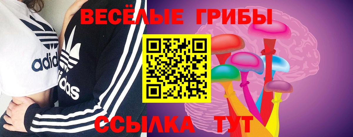 Псилоцибиновые грибы ЛСД  Псилоцибиновые грибы MAGIC MUSHROOMS  цена   Балаково 