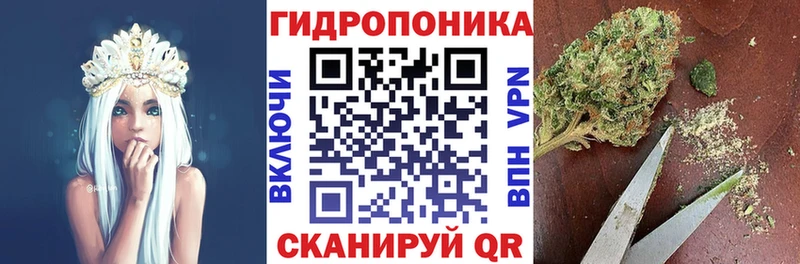 цены наркотик  это Telegram  Конопля OG Kush  Балаково 